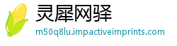 灵犀网驿